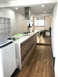 Blk 13 Holland Vista (Queenstown), HDB 3 Rooms #521170451